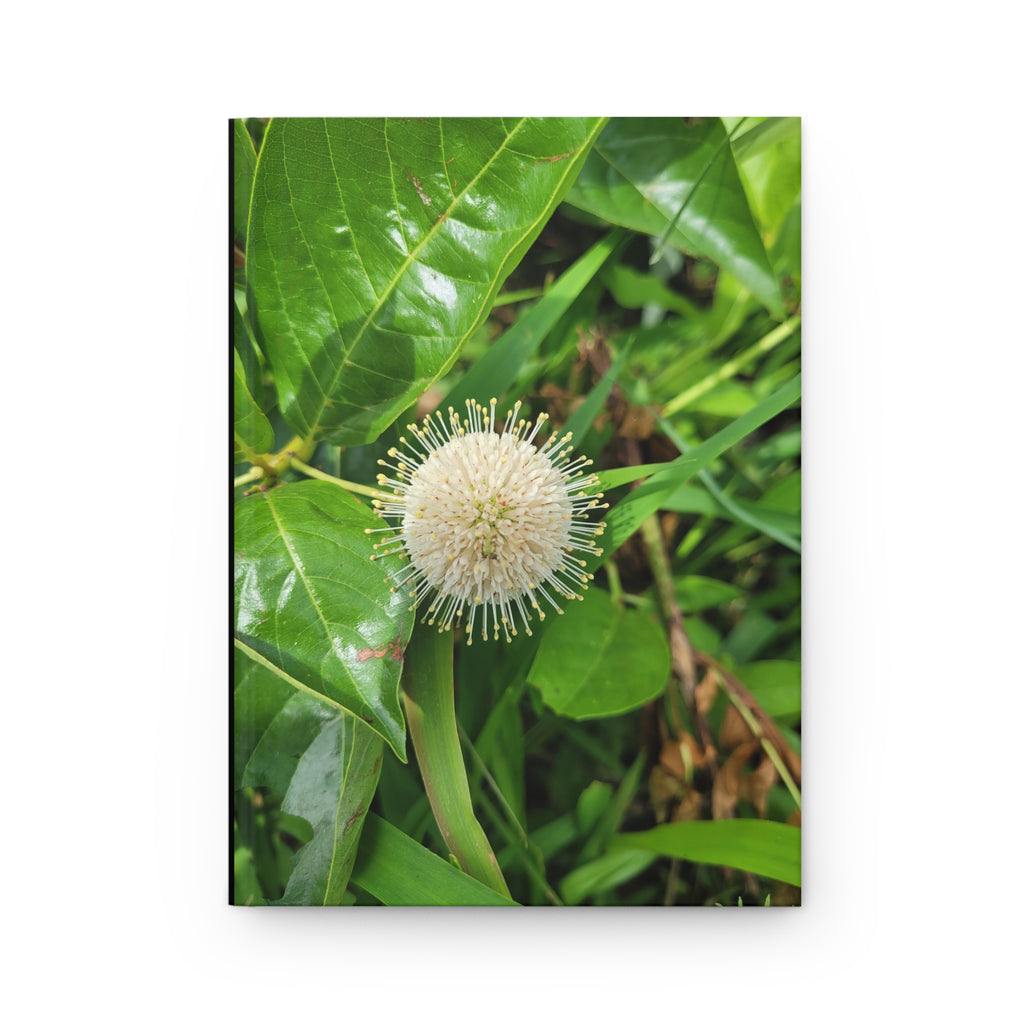 Journal | Summer Buttonbush Bloom Hardcover Photography Notebook