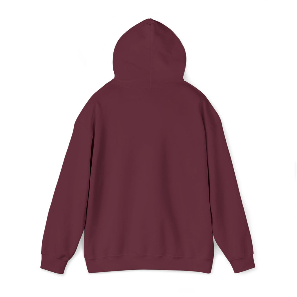 Hoodie | ‘Better Days Ahead’ Above a Sunrise  Embroidered Graphic