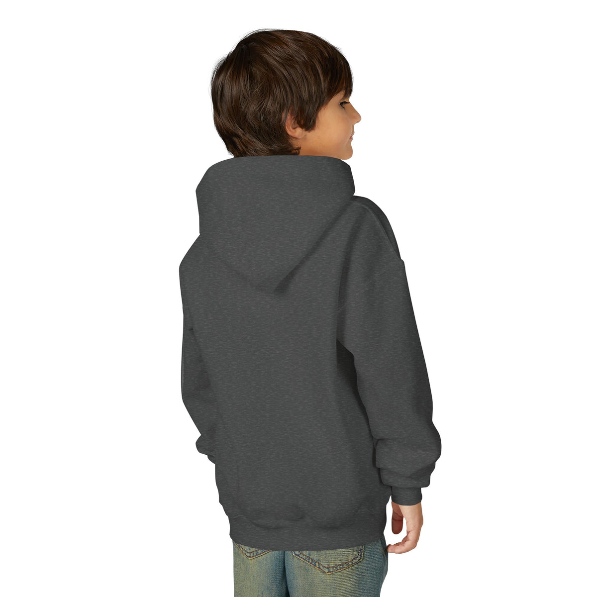 Lion Spirit Paint Drips Youth Hoodie