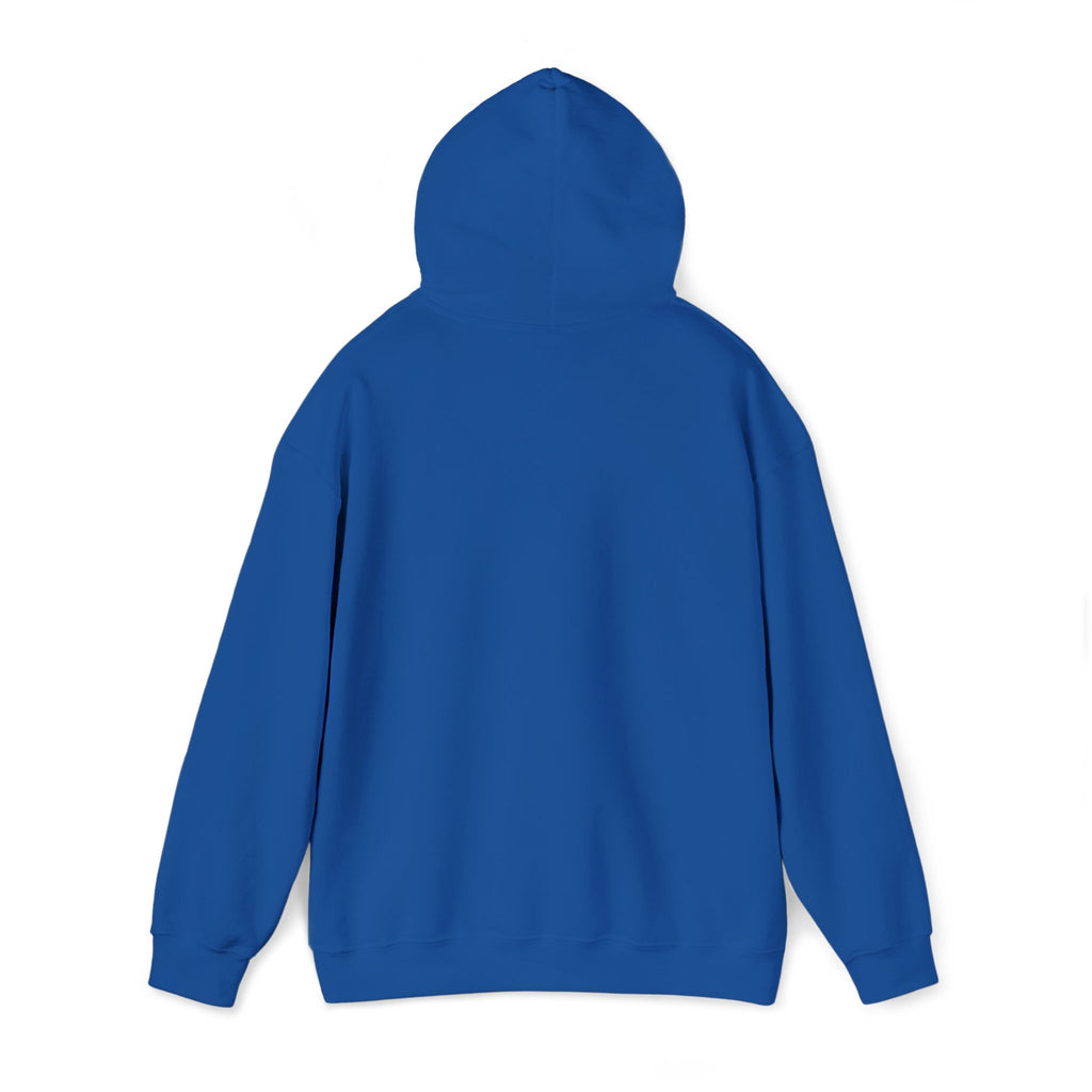Hoodie | ‘Better Days Ahead’ Above a Sunrise  Embroidered Graphic