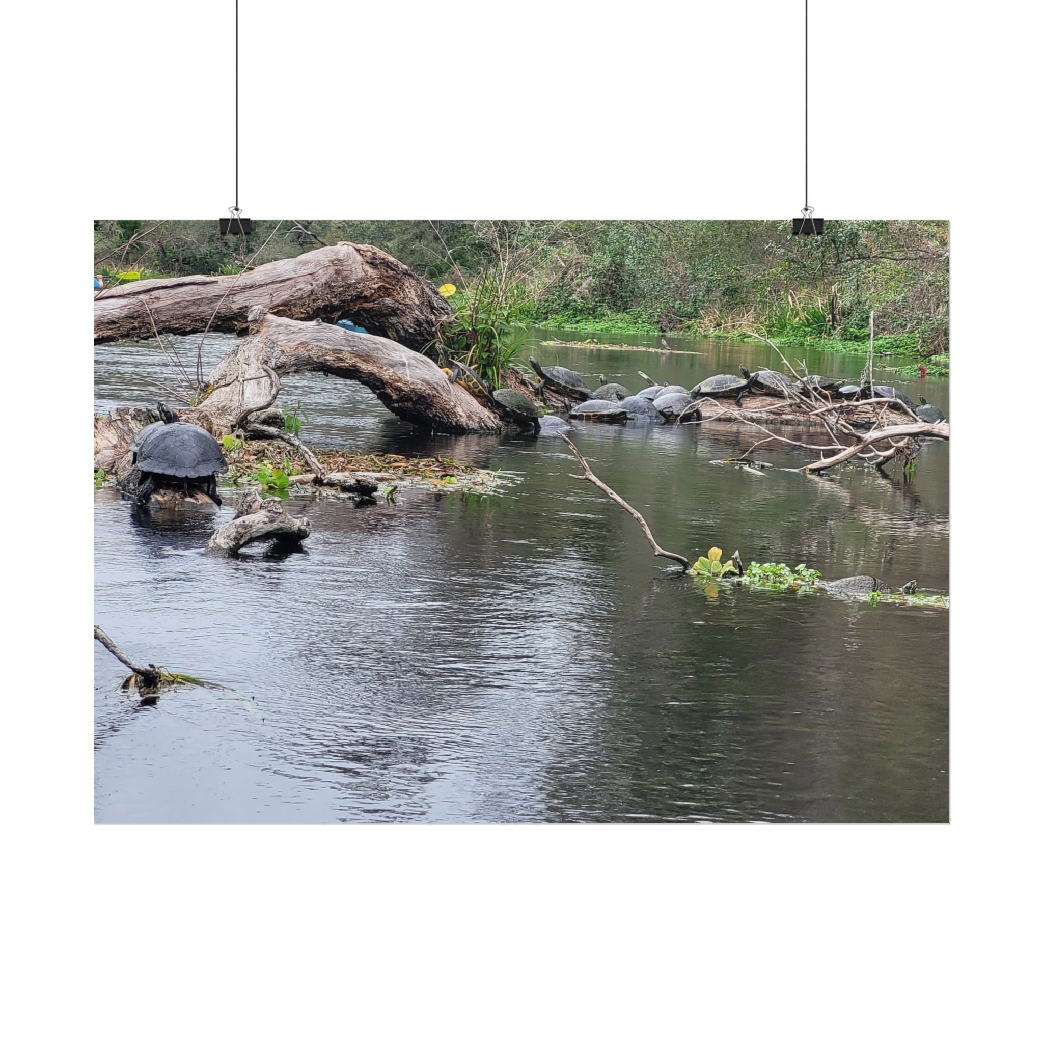Rolled Poster | Customize Your Own Poster