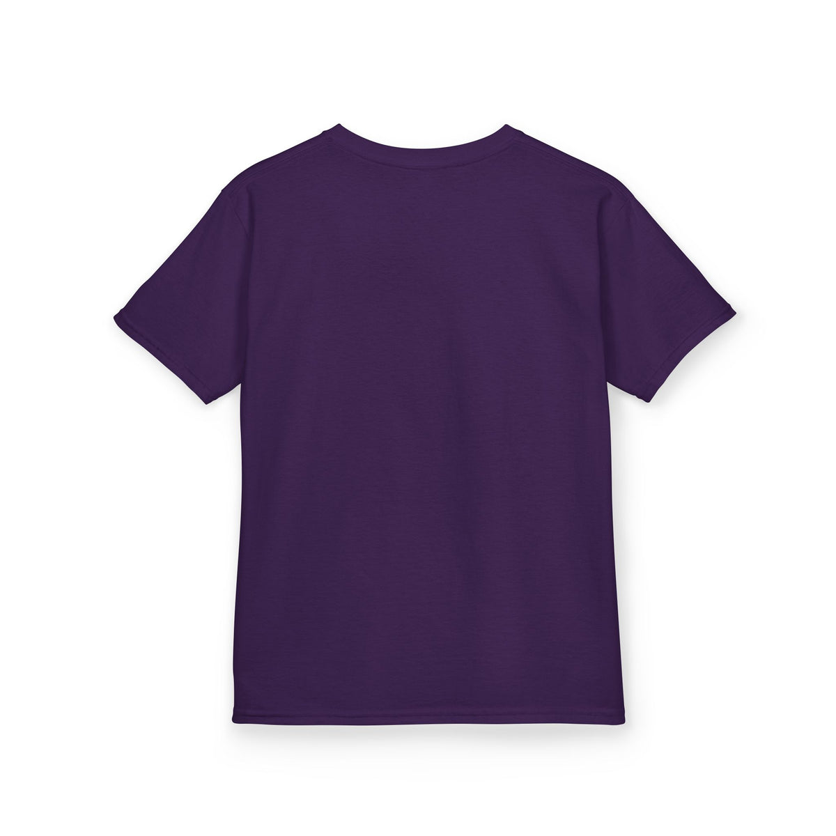 Lion Spirit Colorful Drip T-Shirt