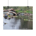 Rolled Poster | Customize Your Own Poster