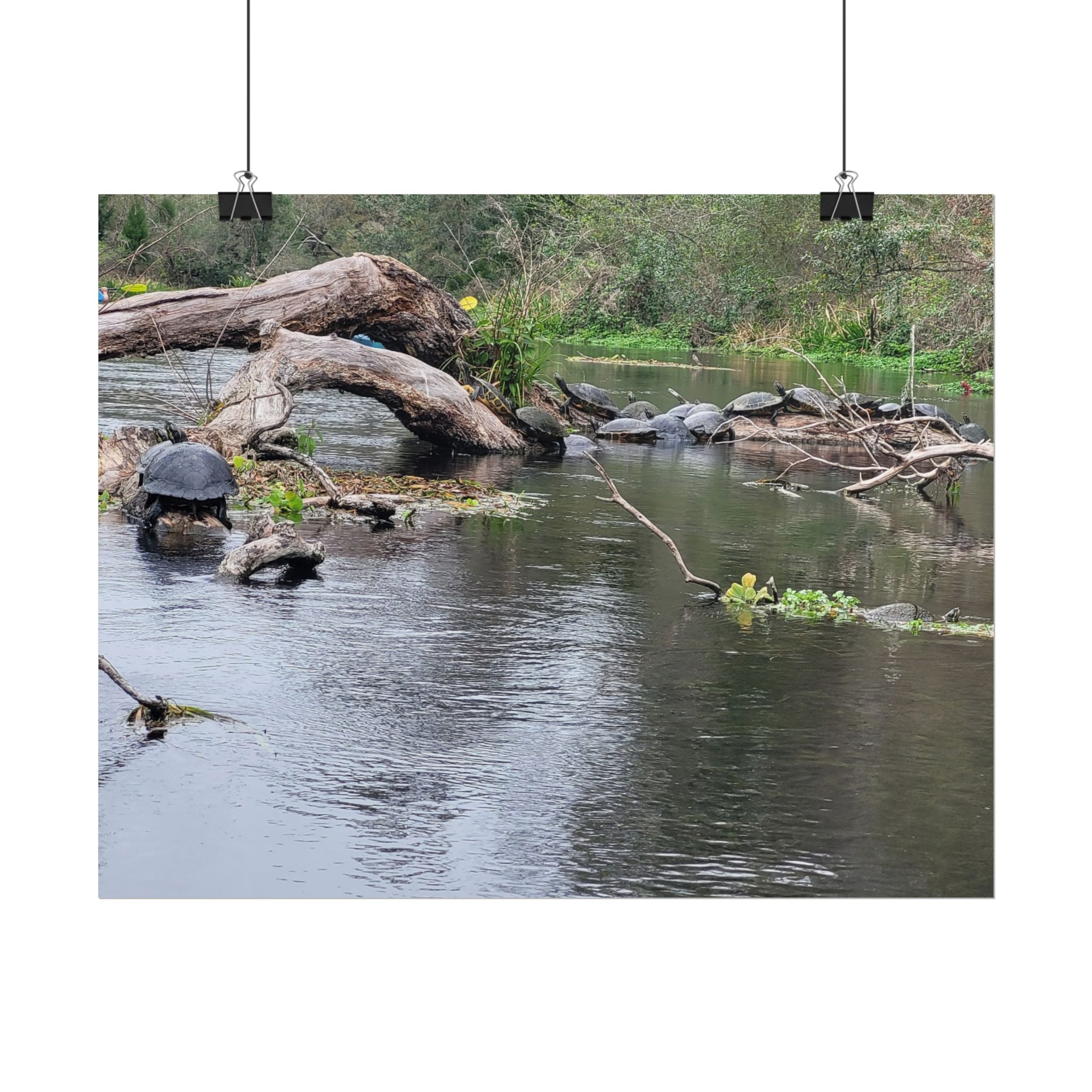 Rolled Poster | Customize Your Own Poster