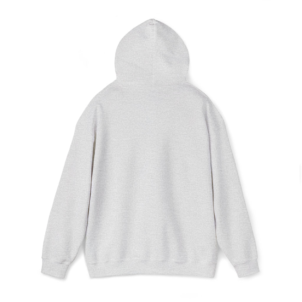 Hoodie | ‘Better Days Ahead’ Above a Sunrise  Embroidered Graphic