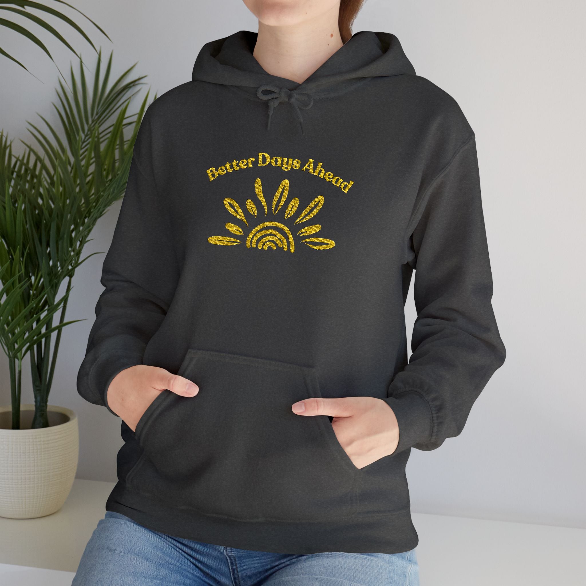 Hoodie | ‘Better Days Ahead’ Above a Sunrise  Embroidered Graphic