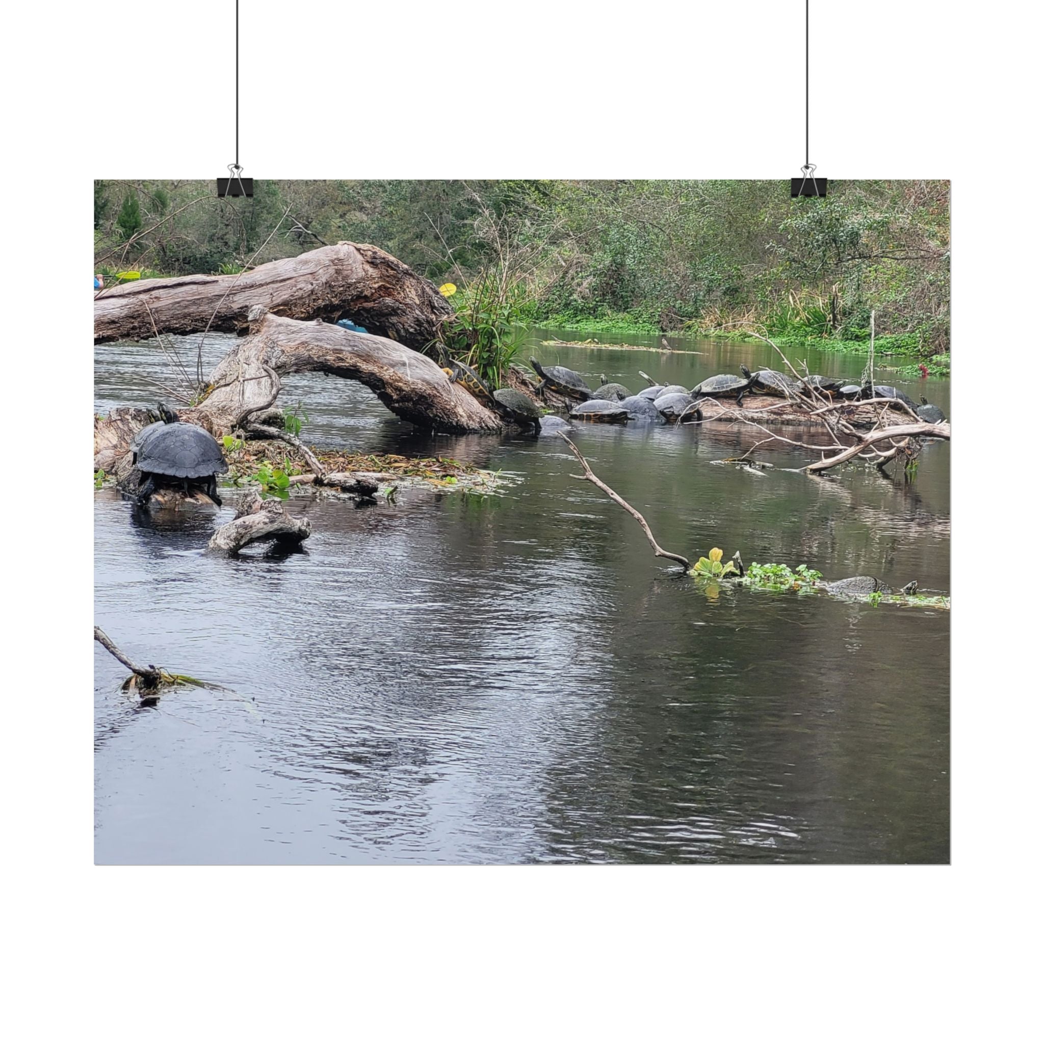 Rolled Poster | Customize Your Own Poster