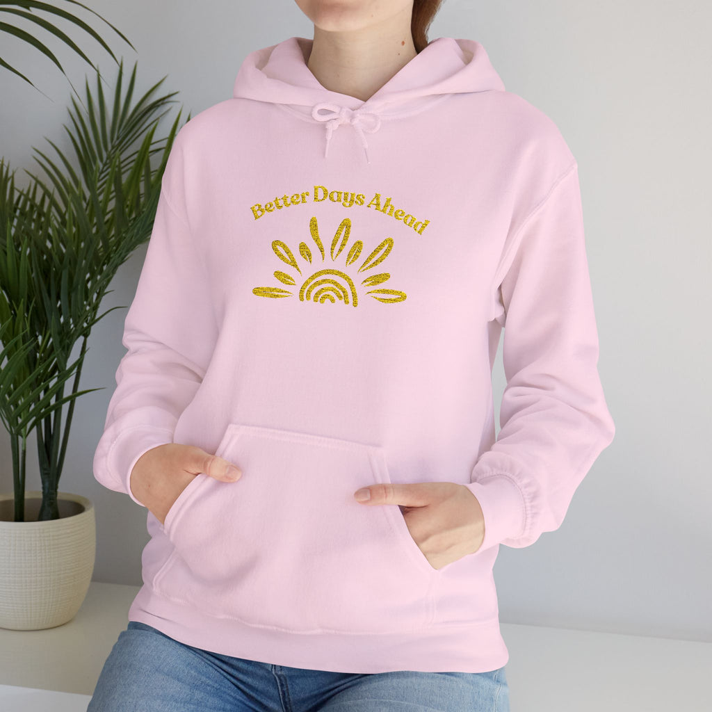 ‘Better Days Ahead’ Embroidered Hoodie