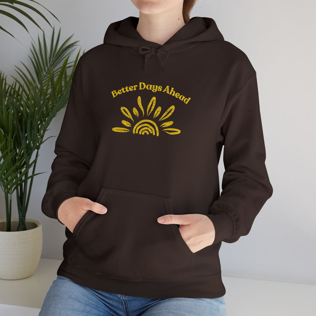 Hoodie | ‘Better Days Ahead’ Above a Sunrise  Embroidered Graphic