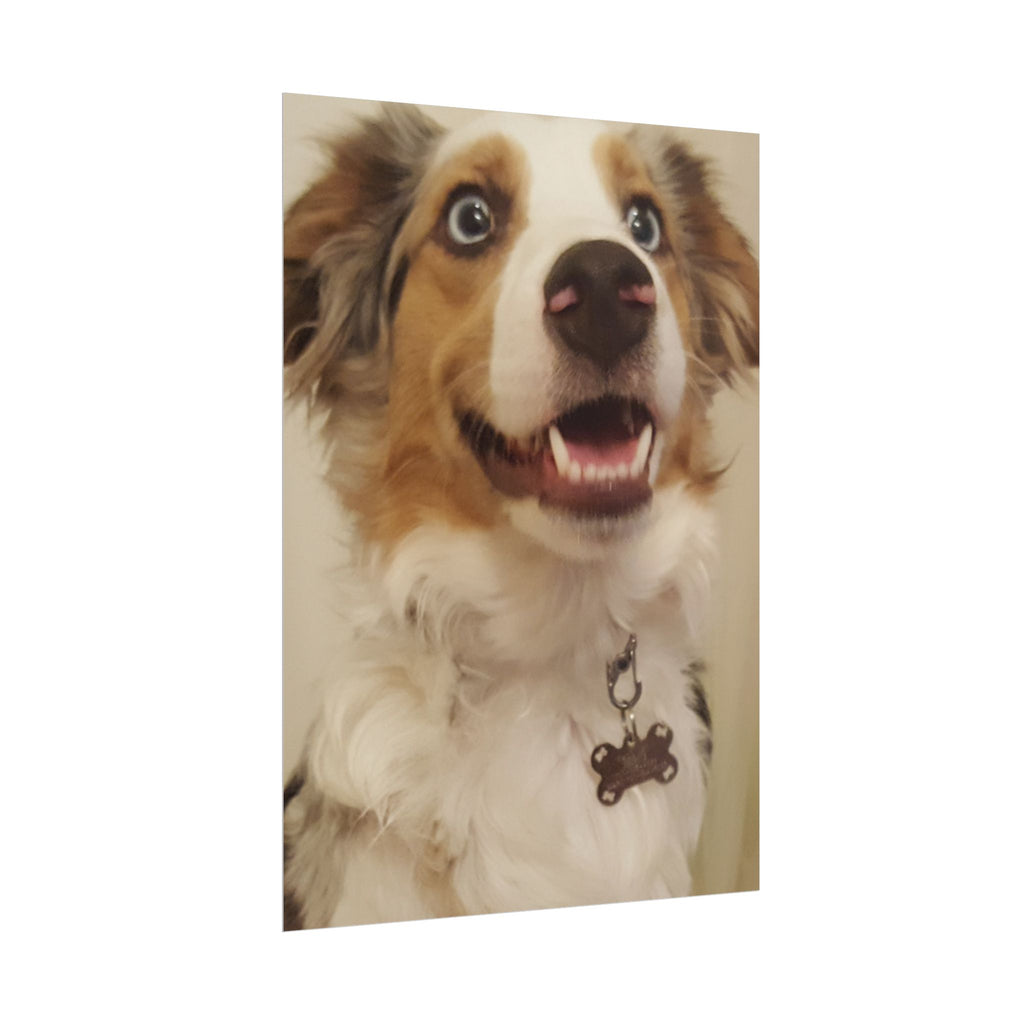 Rolled Poster | Personalize Your Own Poster