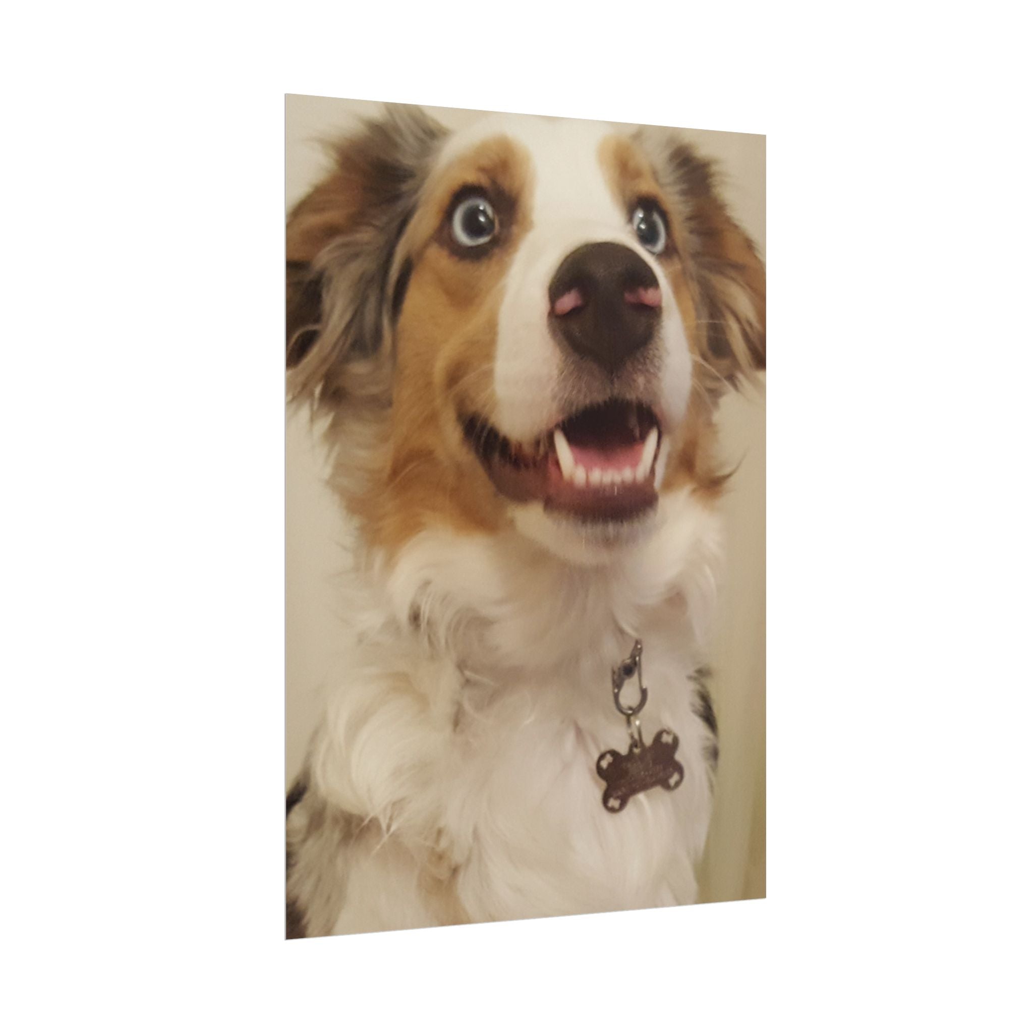 Rolled Poster | Personalize Your Own Poster