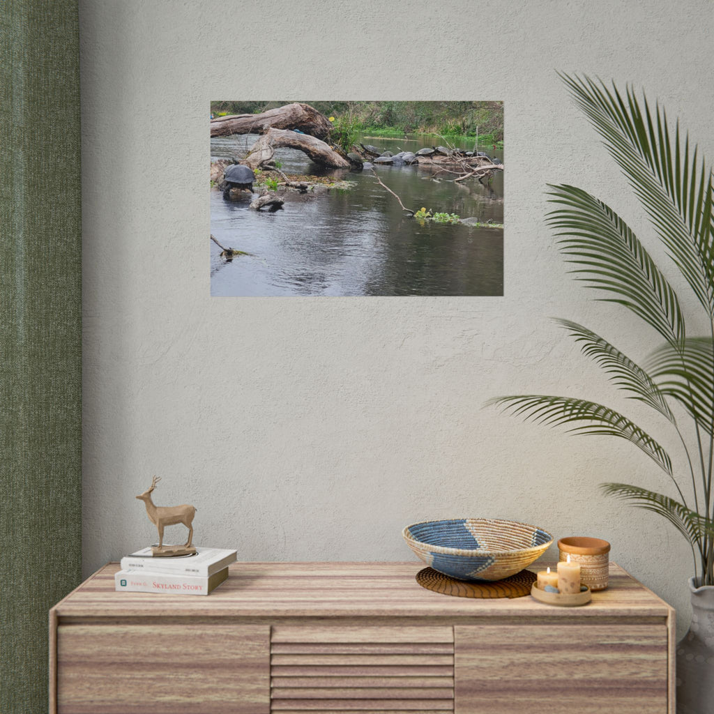 Rolled Poster | Customize Your Own Poster
