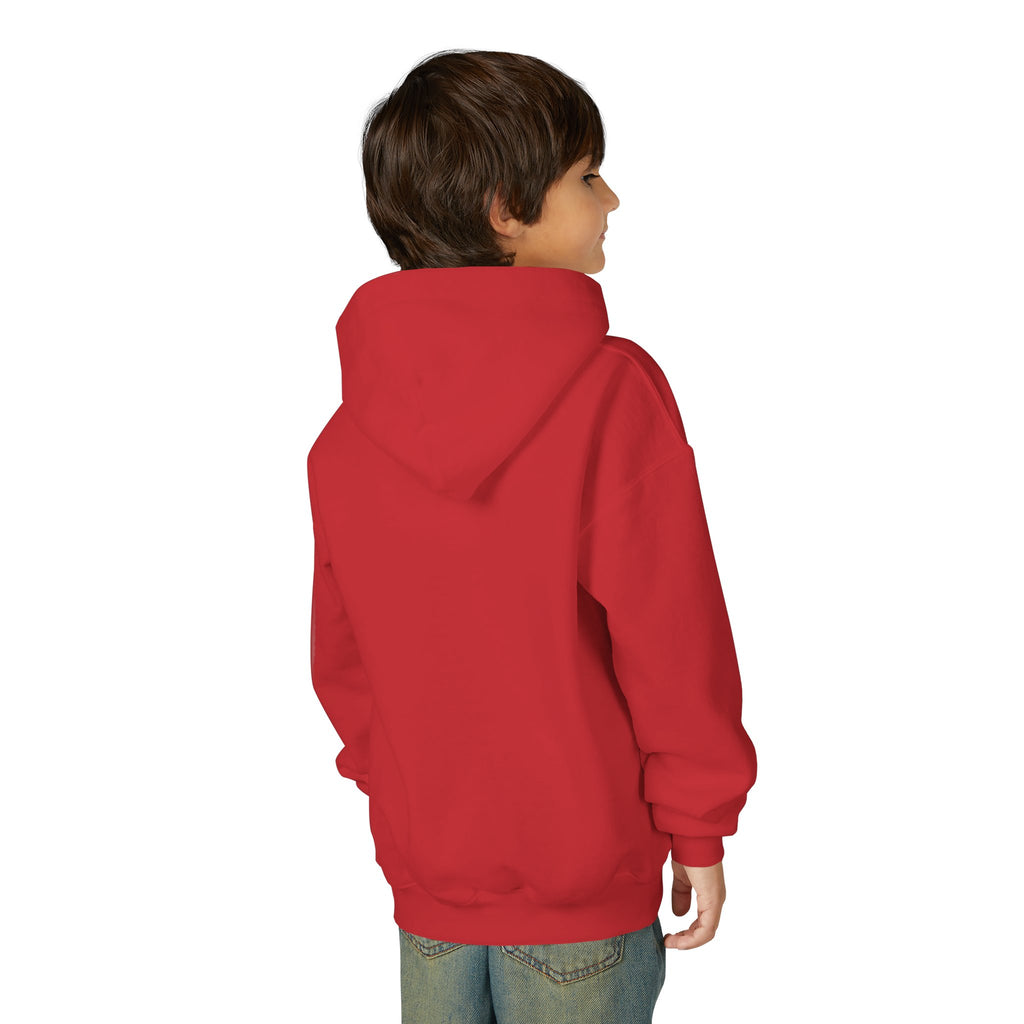 Lion Spirit Paint Drips Youth Hoodie