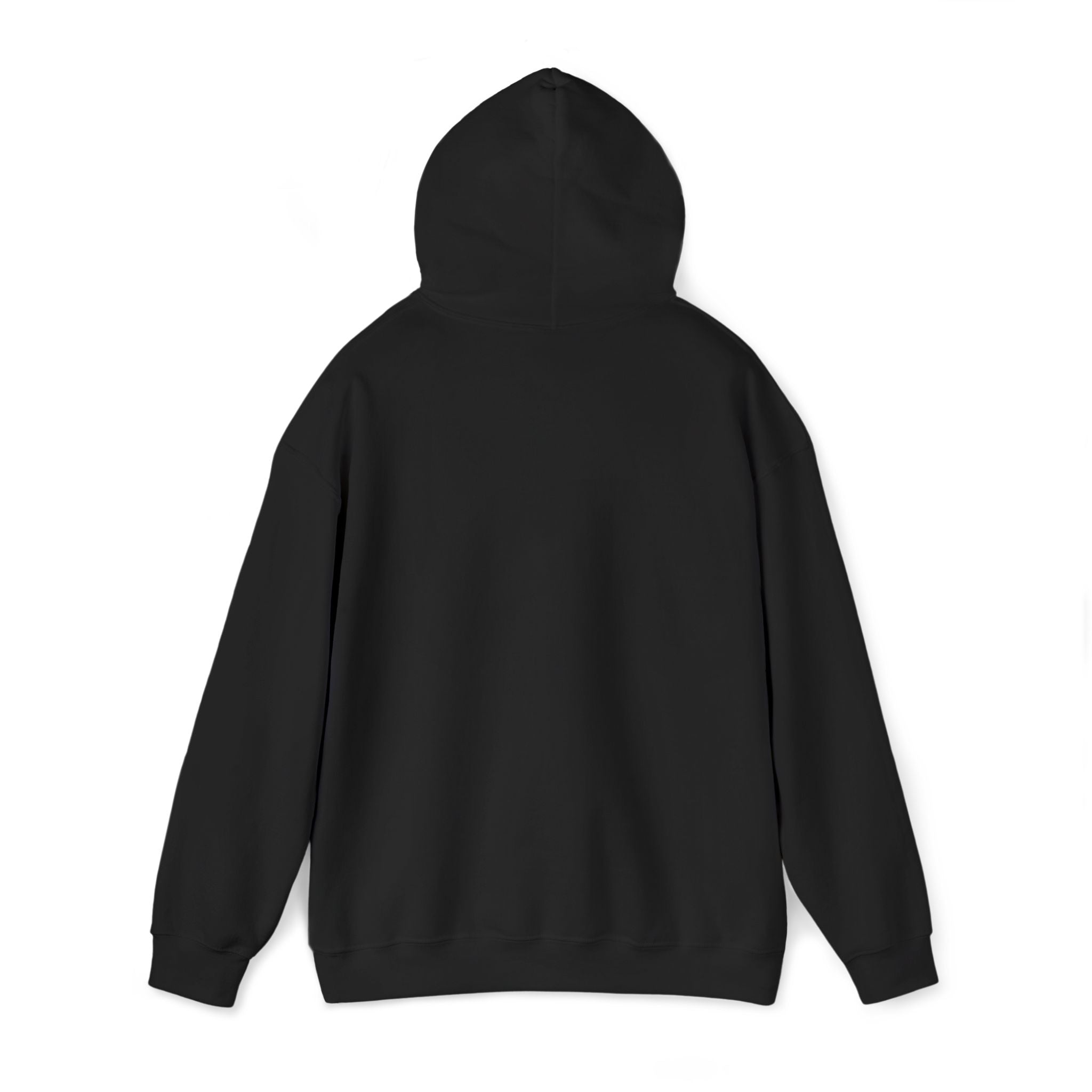 Hoodie | ‘Better Days Ahead’ Above a Sunrise  Embroidered Graphic