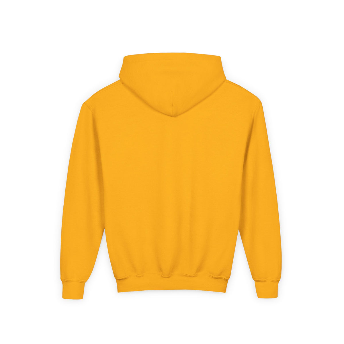 Lion Spirit Paint Drips Youth Hoodie