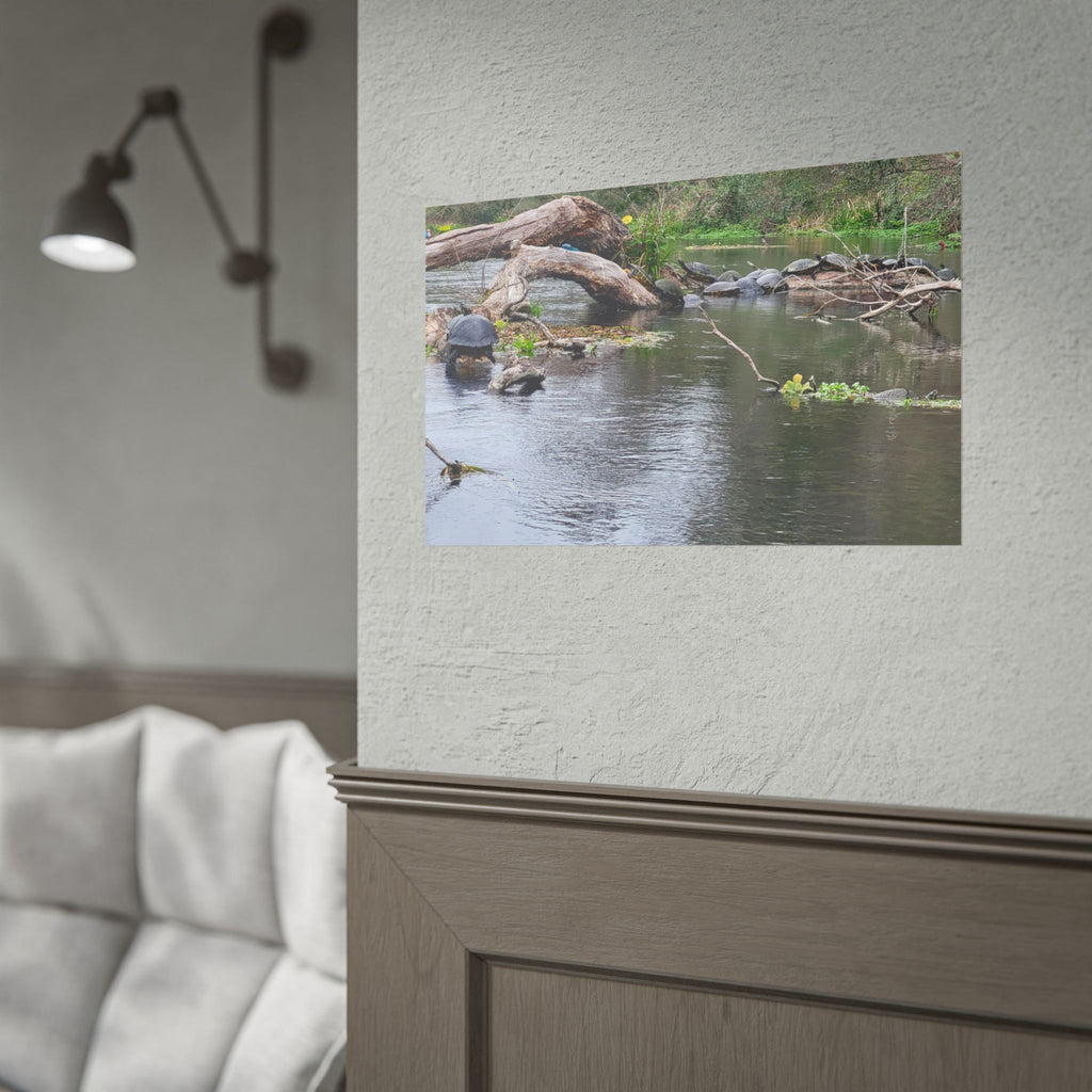 Rolled Poster | Customize Your Own Poster