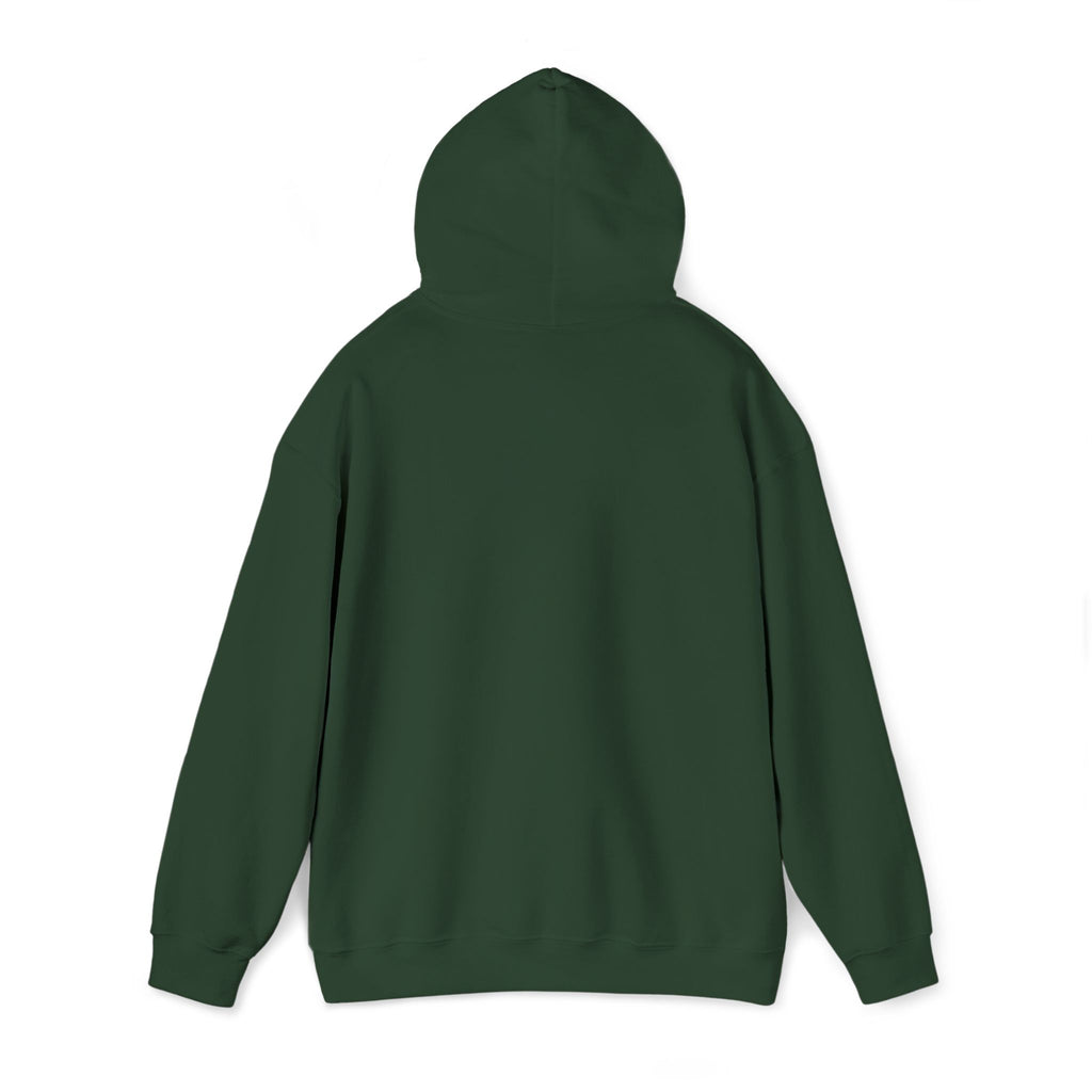 Hoodie | ‘Better Days Ahead’ Above a Sunrise  Embroidered Graphic
