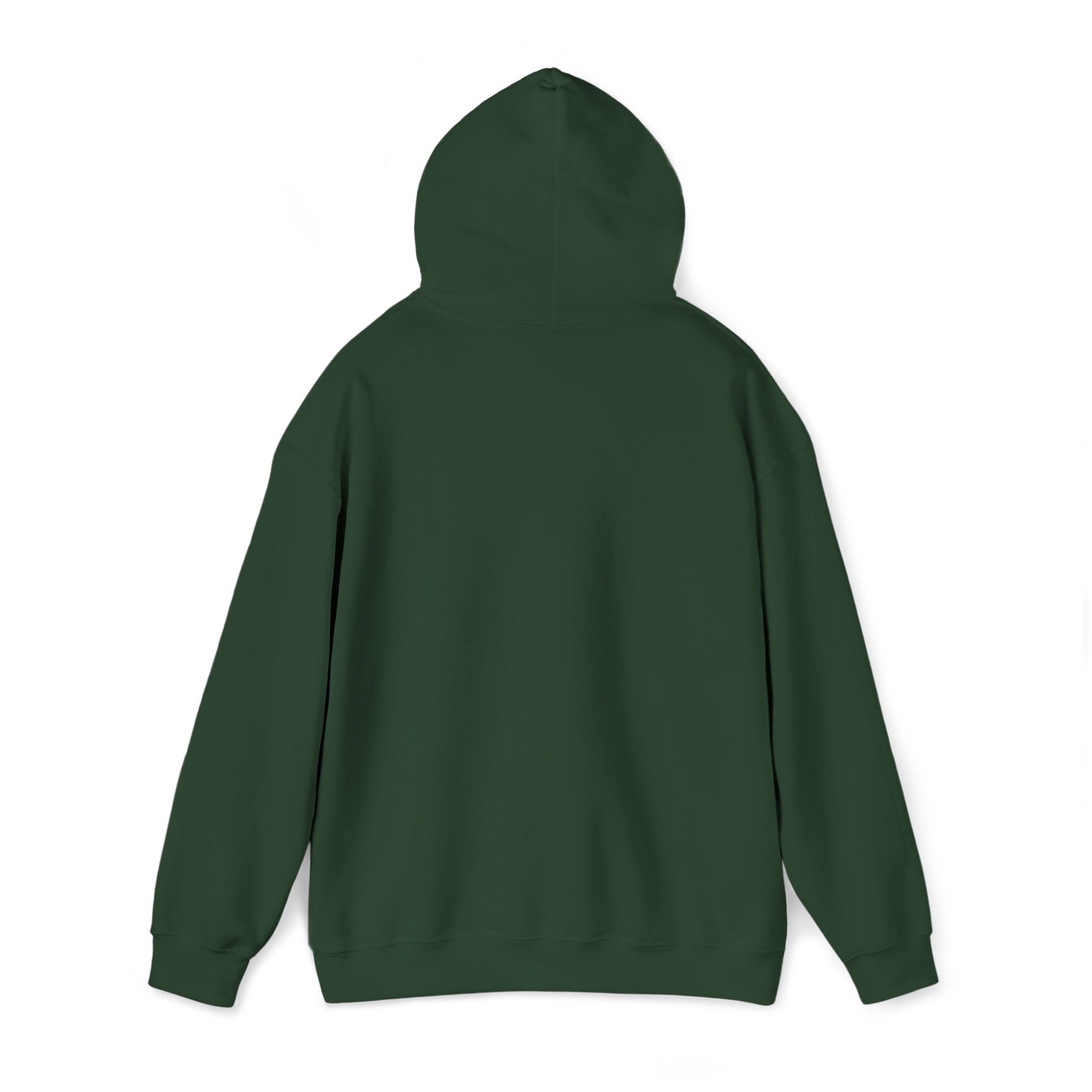 Hoodie | ‘Better Days Ahead’ Above a Sunrise  Embroidered Graphic