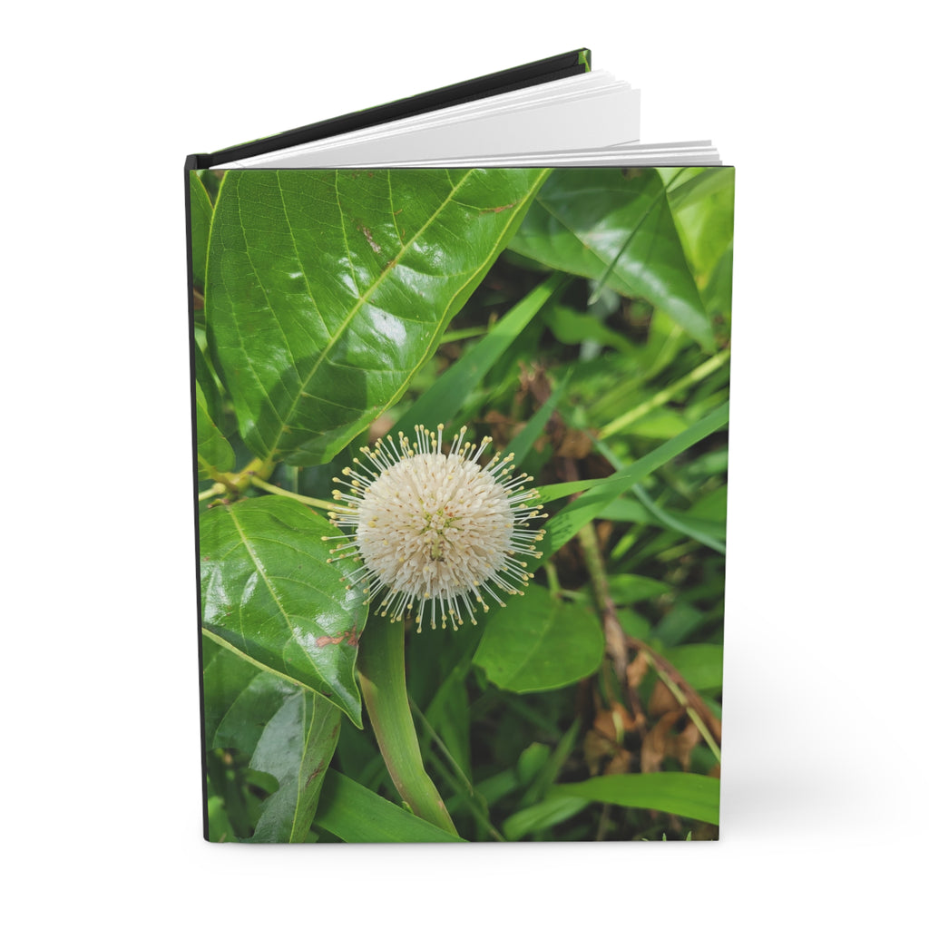 Journal | Summer Buttonbush Bloom Hardcover Photography Notebook
