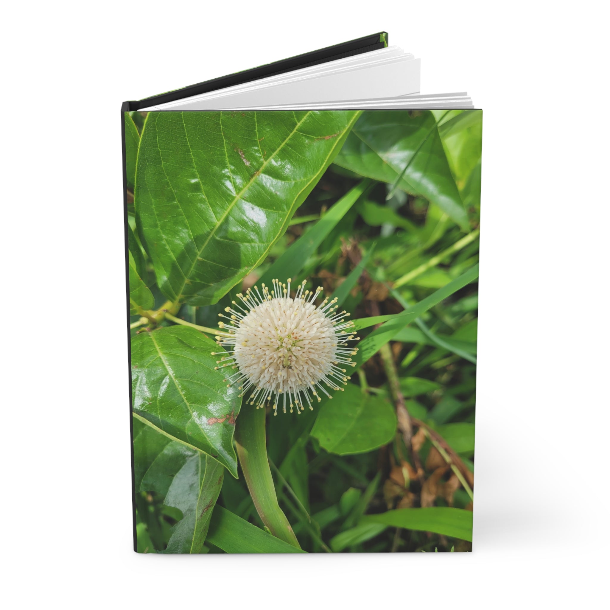 Journal | Summer Buttonbush Bloom Hardcover Photography Notebook
