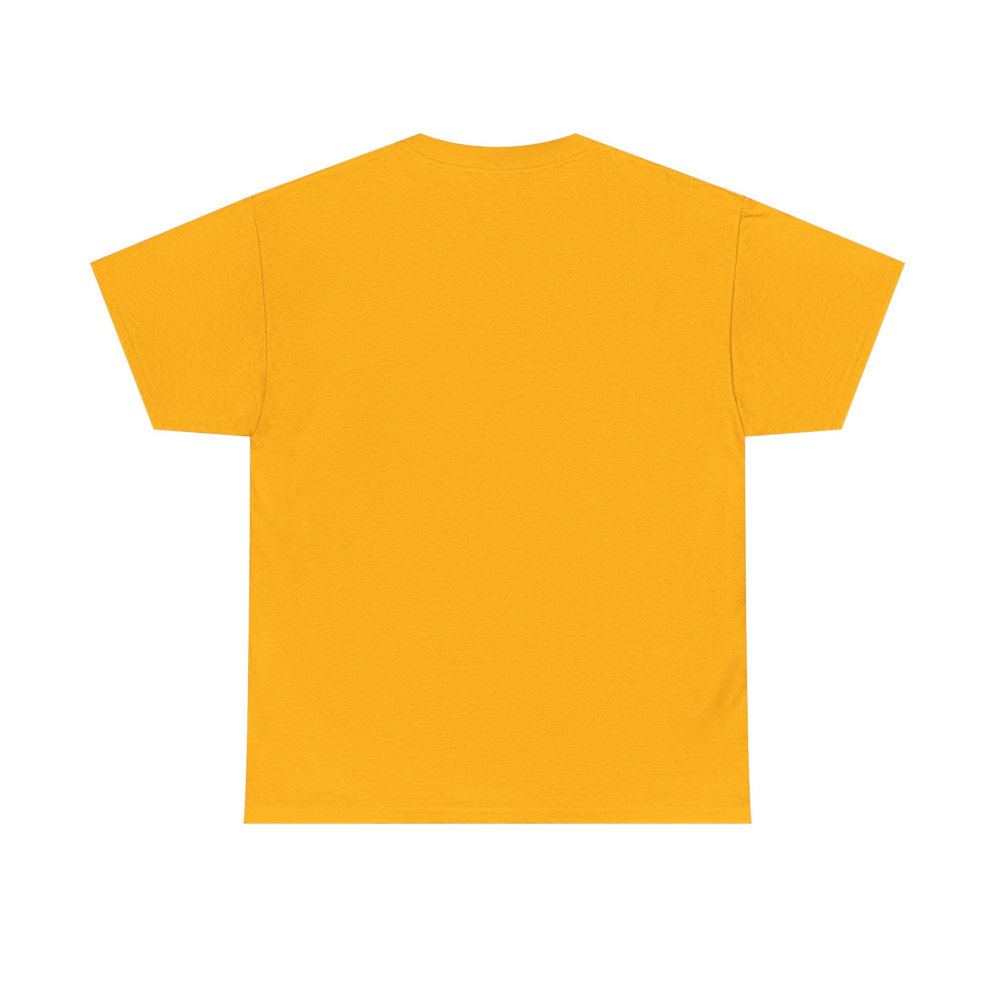 T-Shirt | 'I Believe in Dragons' Colorful Graphic Tee