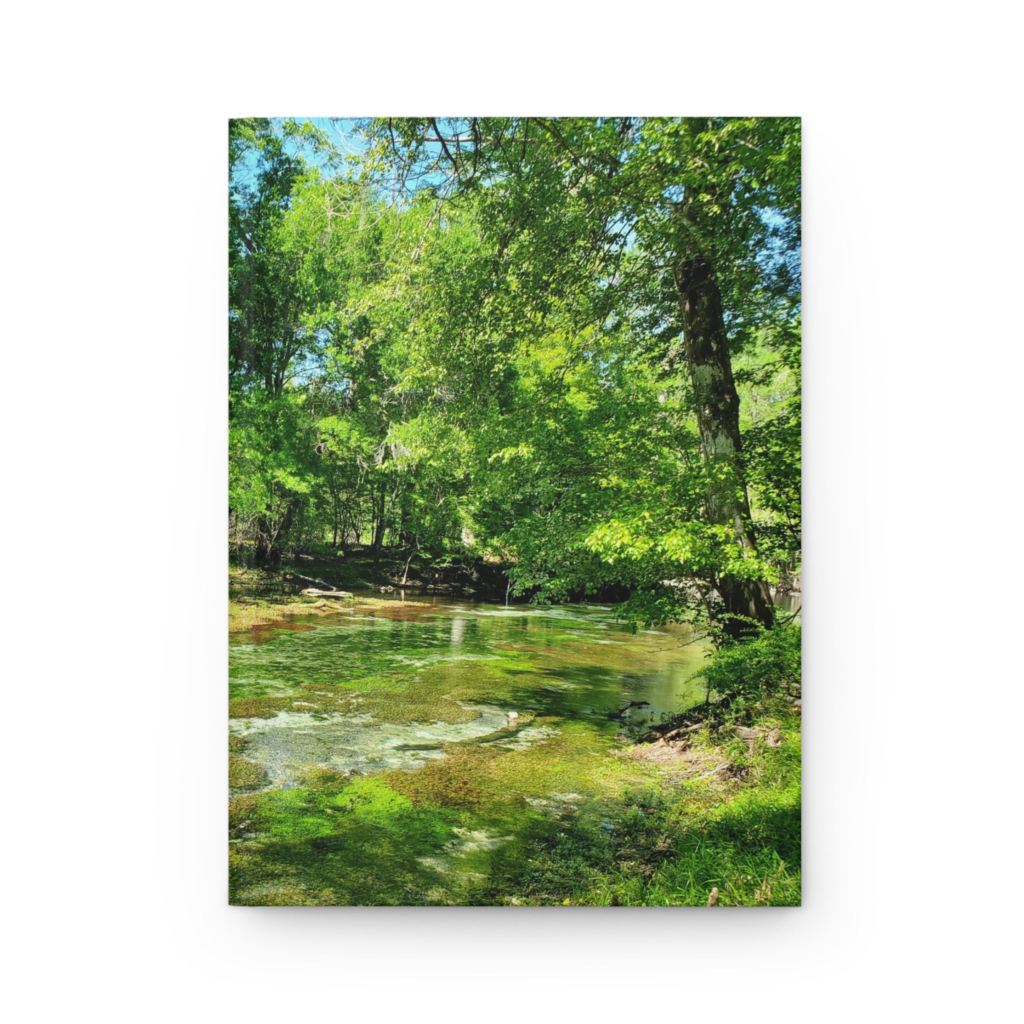 Journal | Florida's Gilchrist Blue Springs Photograph Hardcover Notebook