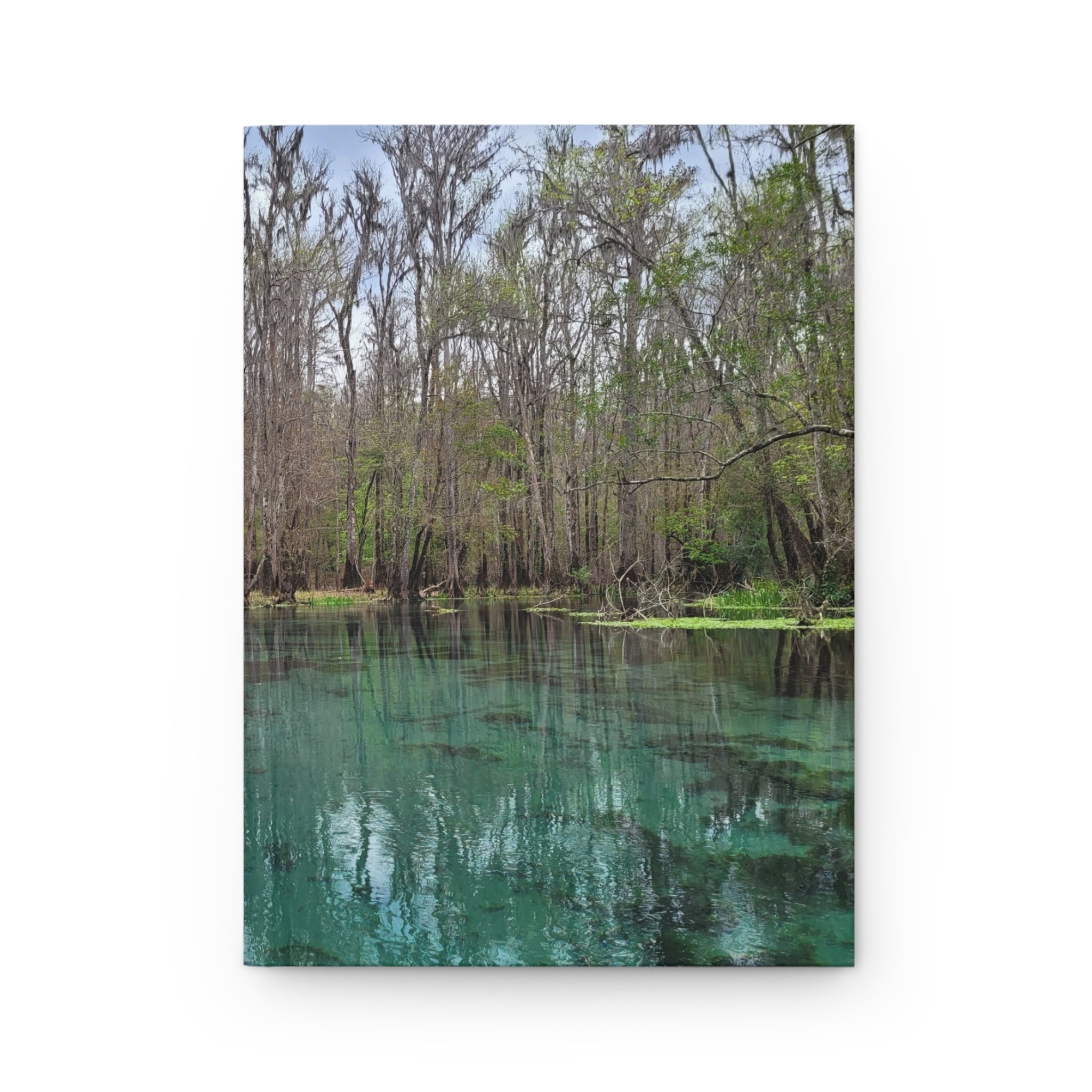 Journal | Ichetucknee River Waters Hardcover Notebook