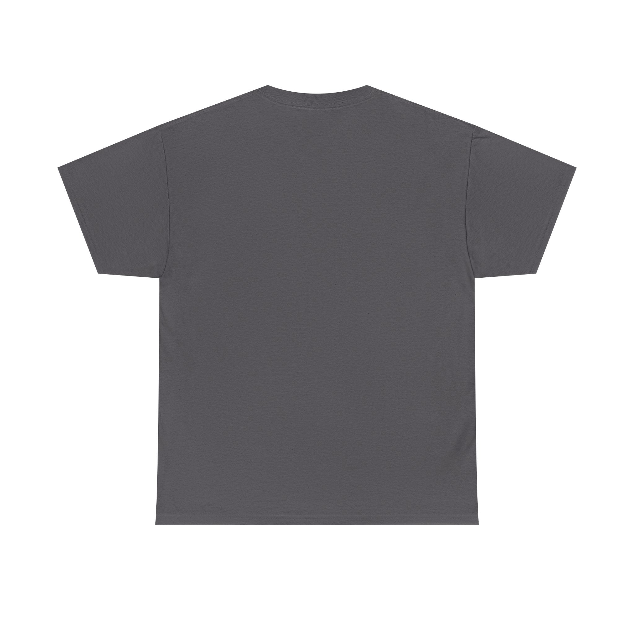T-Shirt | 'I Believe in Dragons' Colorful Graphic Tee