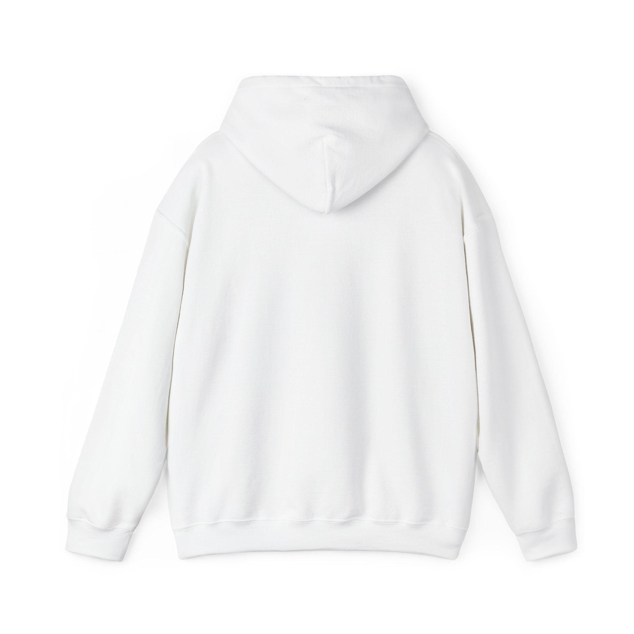 Hoodie | Colorful Retro Vertical Bars 'Vintage' Hooded Sweatshirt