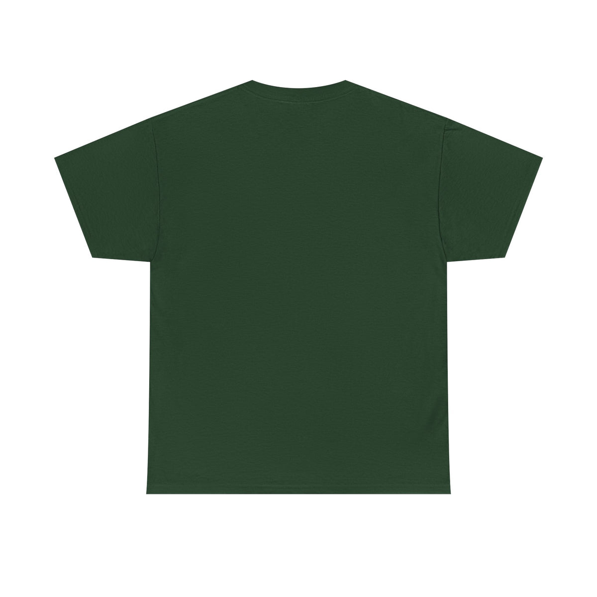 I Believe in Dragons Graphic T-Shirt