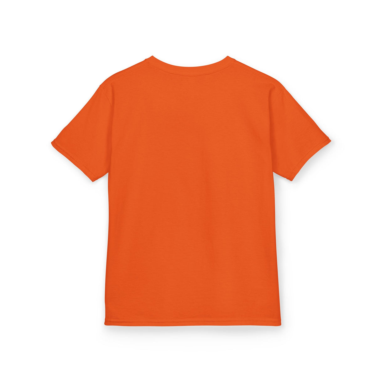 Lion Spirit Colorful Drip T-Shirt