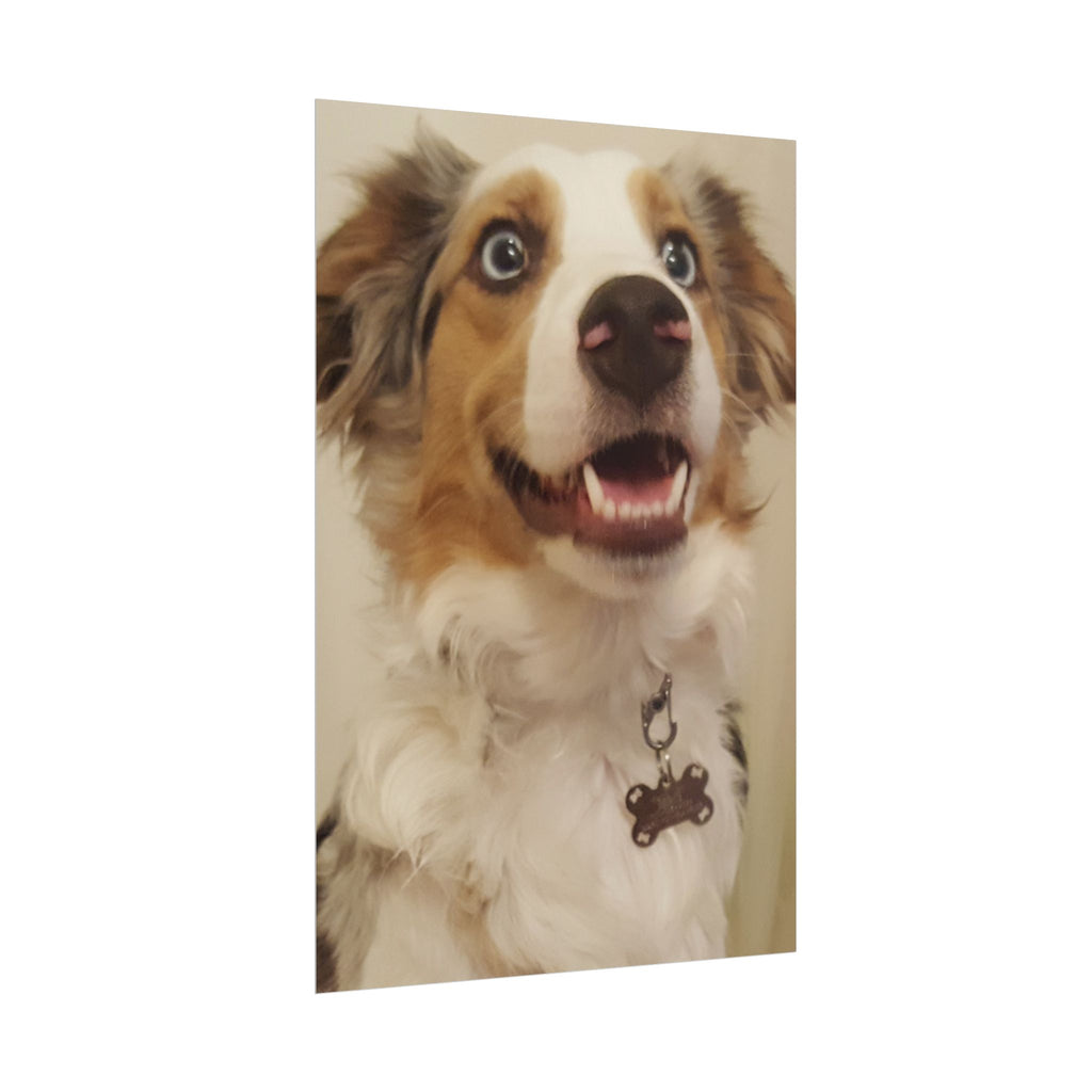 Rolled Poster | Personalize Your Own Poster