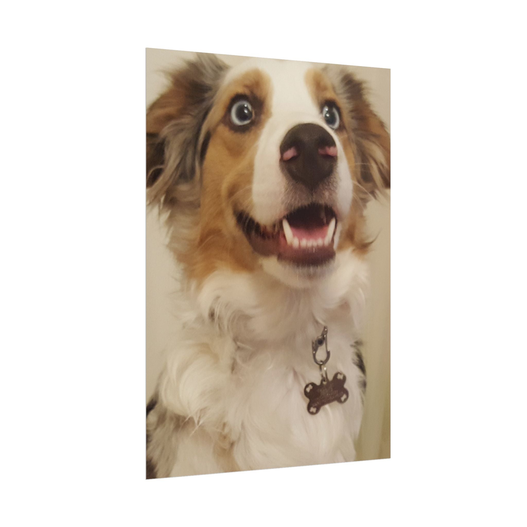 Rolled Poster | Personalize Your Own Poster