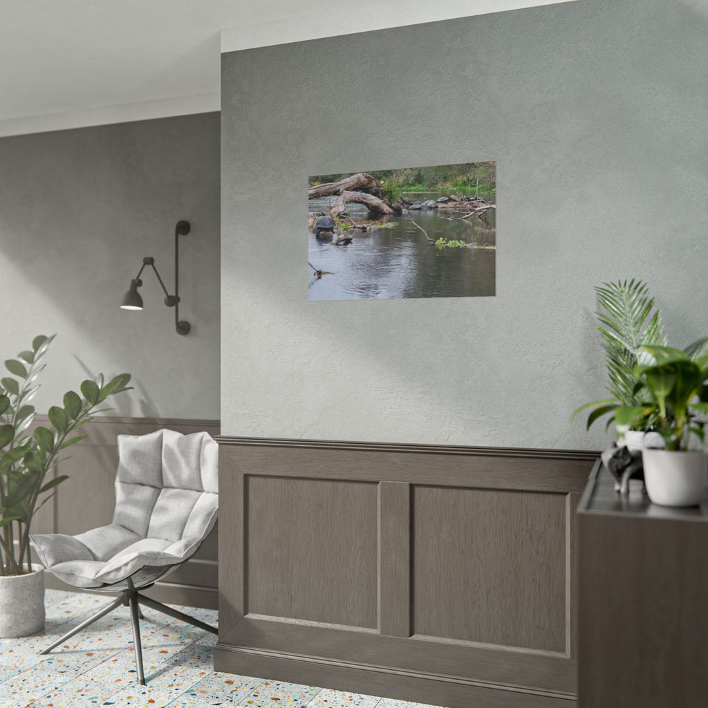 Rolled Poster | Customize Your Own Poster