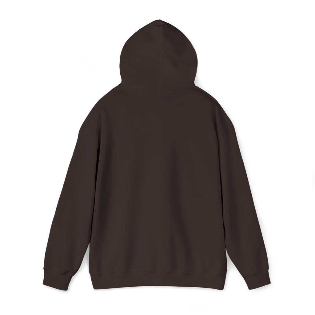 Hoodie | ‘Better Days Ahead’ Above a Sunrise  Embroidered Graphic