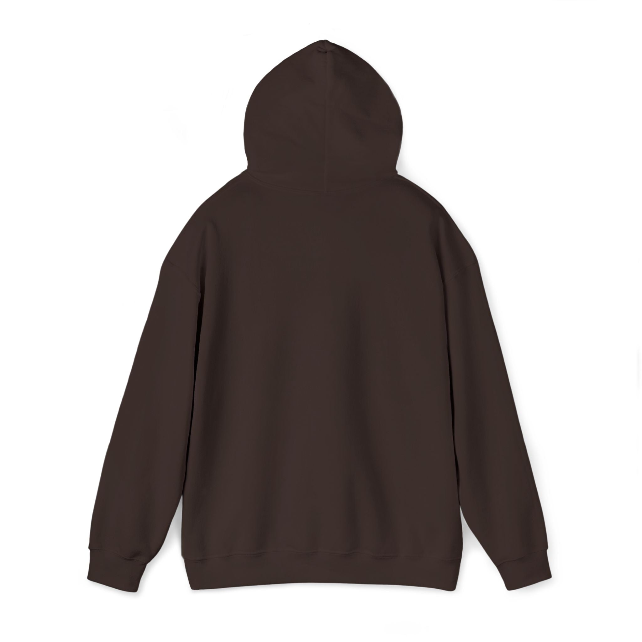 Hoodie | ‘Better Days Ahead’ Above a Sunrise  Embroidered Graphic