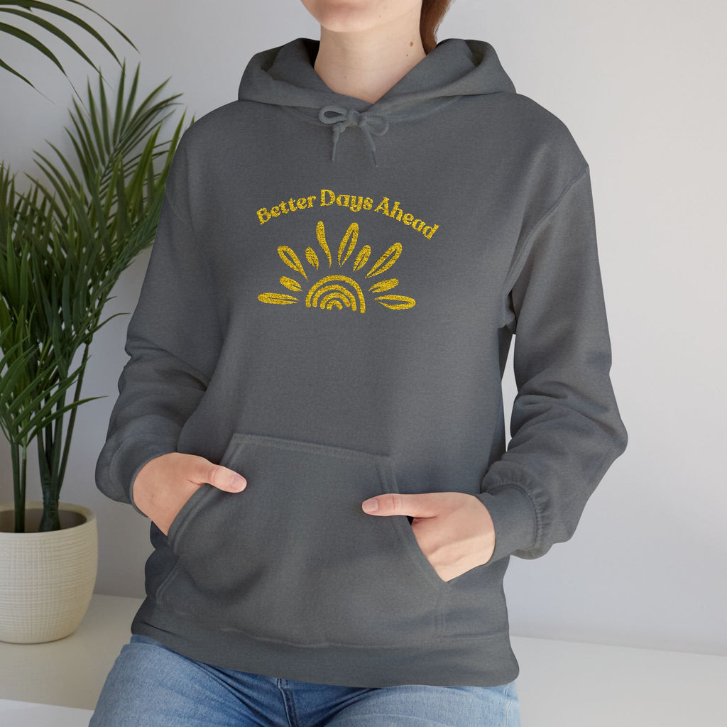 Hoodie | ‘Better Days Ahead’ Above a Sunrise  Embroidered Graphic