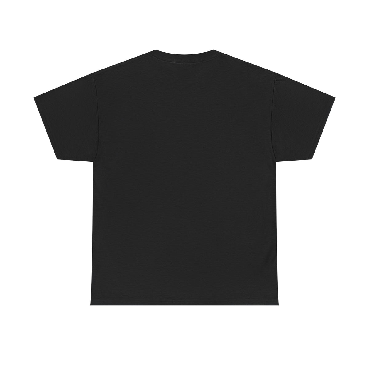 I Believe in Dragons Graphic T-Shirt