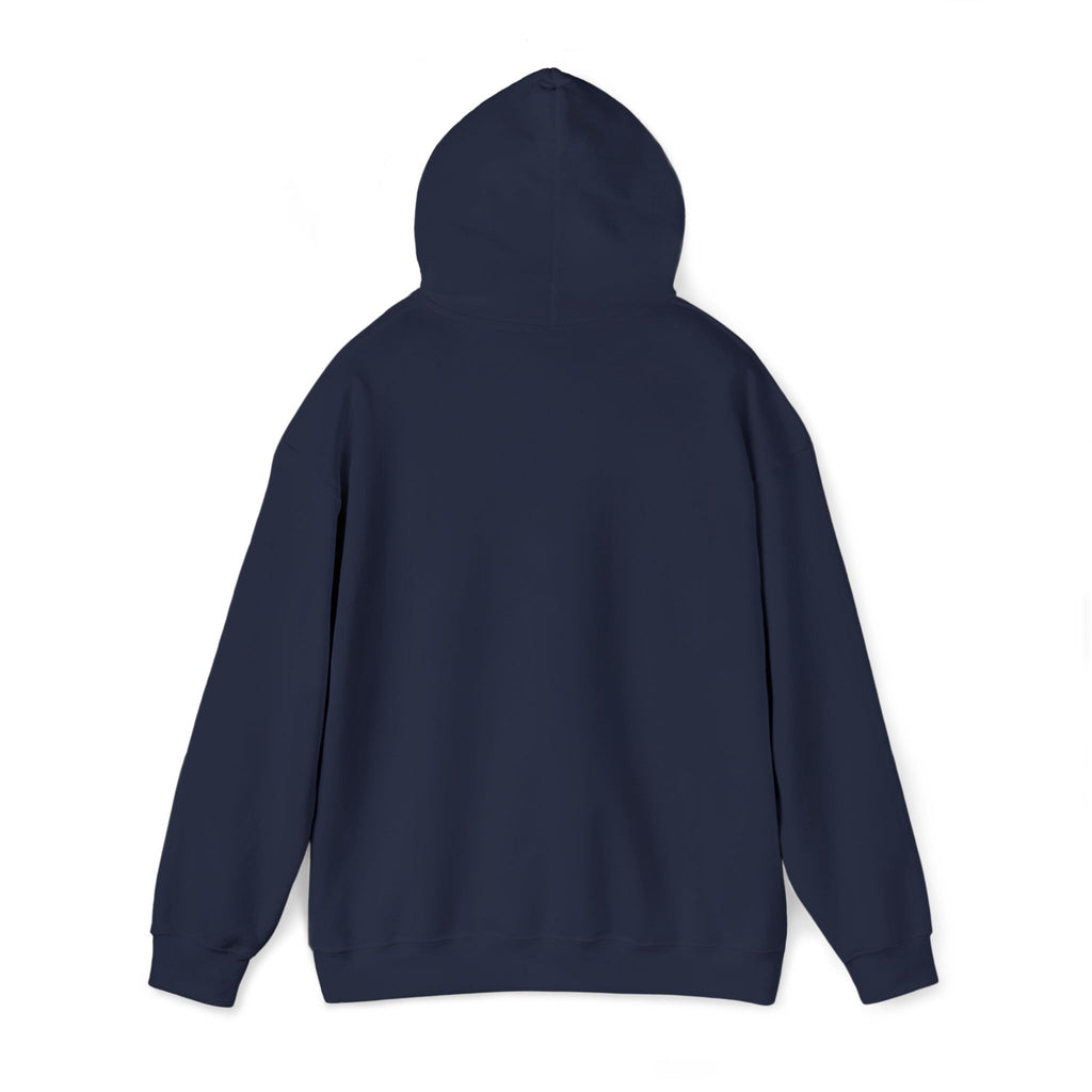 Hoodie | ‘Better Days Ahead’ Above a Sunrise  Embroidered Graphic