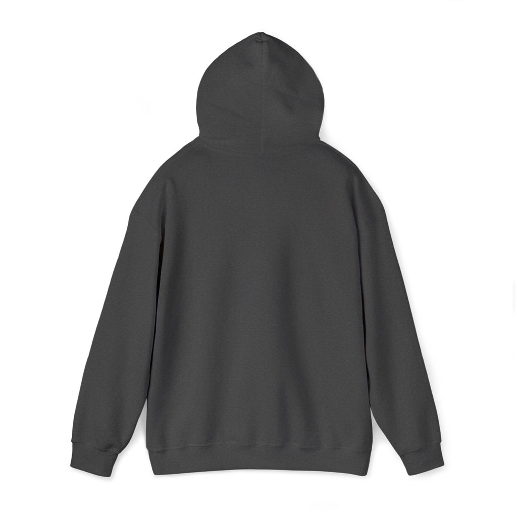 Hoodie | ‘Better Days Ahead’ Above a Sunrise  Embroidered Graphic