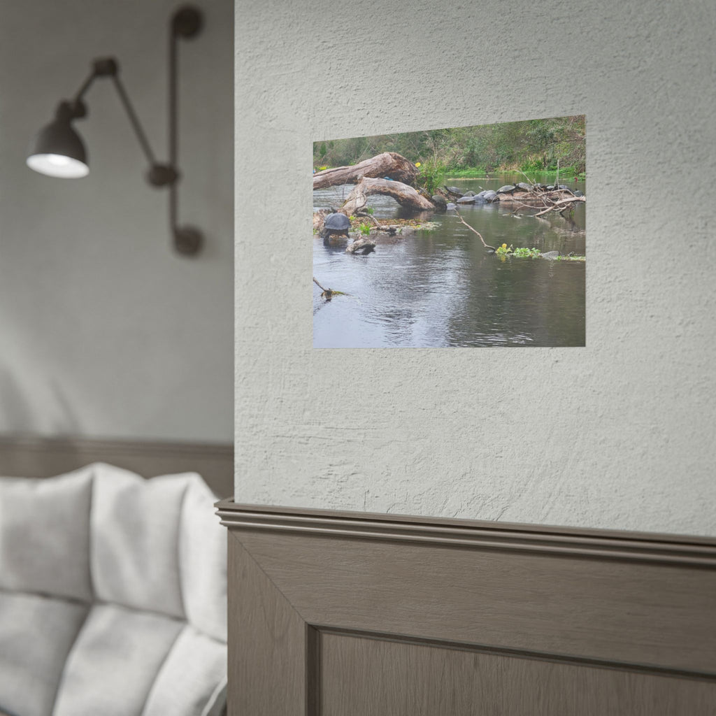 Rolled Poster | Customize Your Own Poster
