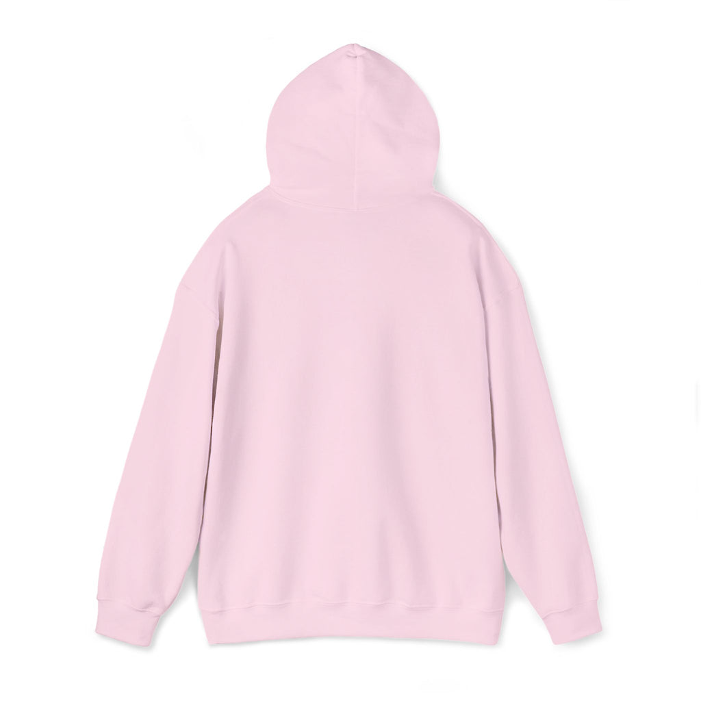 Hoodie | ‘Better Days Ahead’ Above a Sunrise  Embroidered Graphic