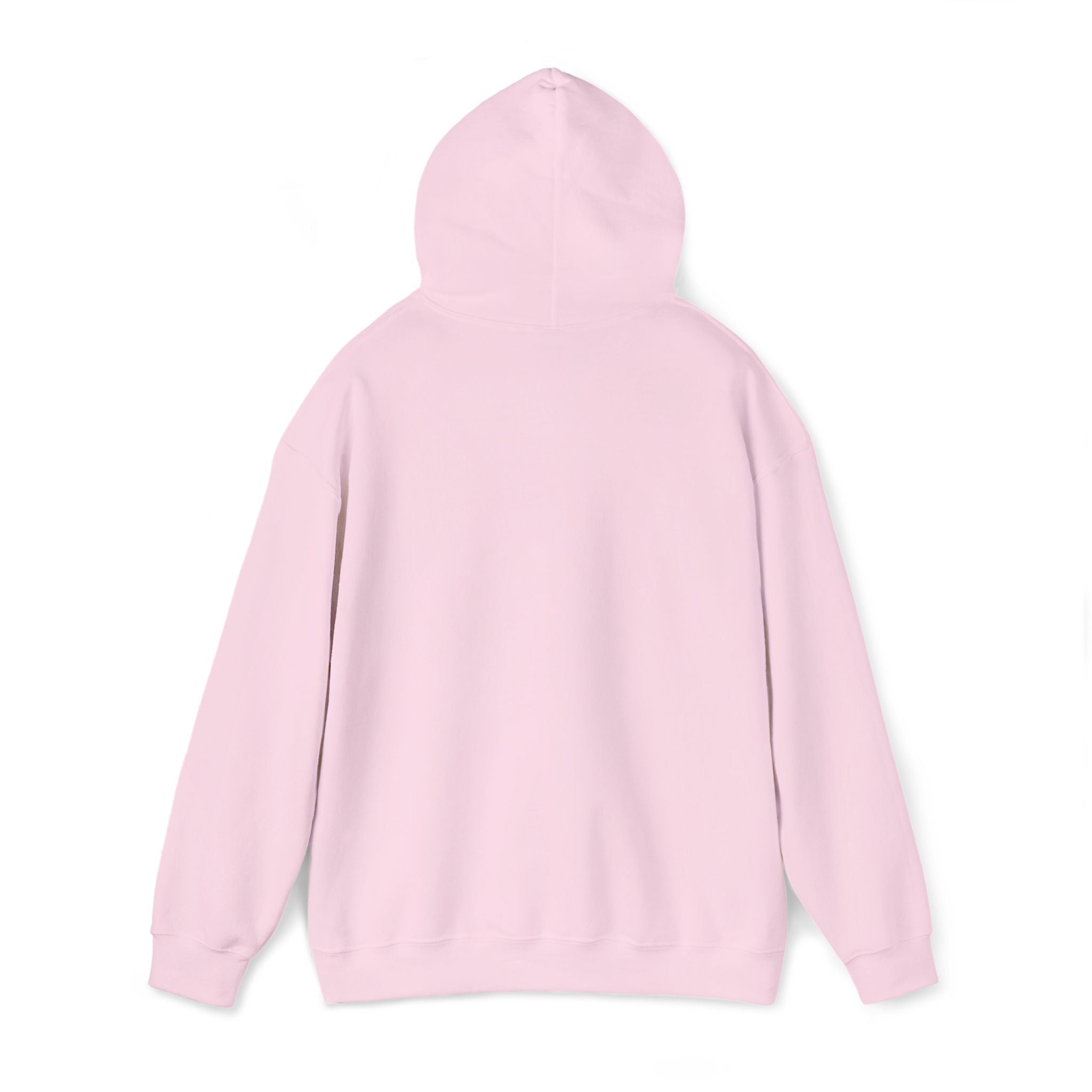 Hoodie | ‘Better Days Ahead’ Above a Sunrise  Embroidered Graphic