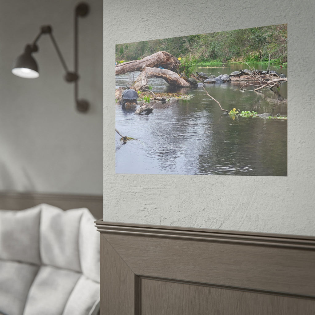 Rolled Poster | Customize Your Own Poster