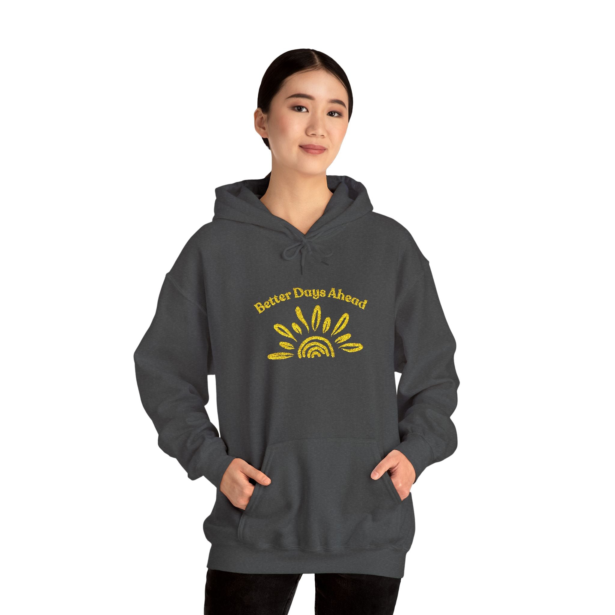 Hoodie | ‘Better Days Ahead’ Above a Sunrise  Embroidered Graphic