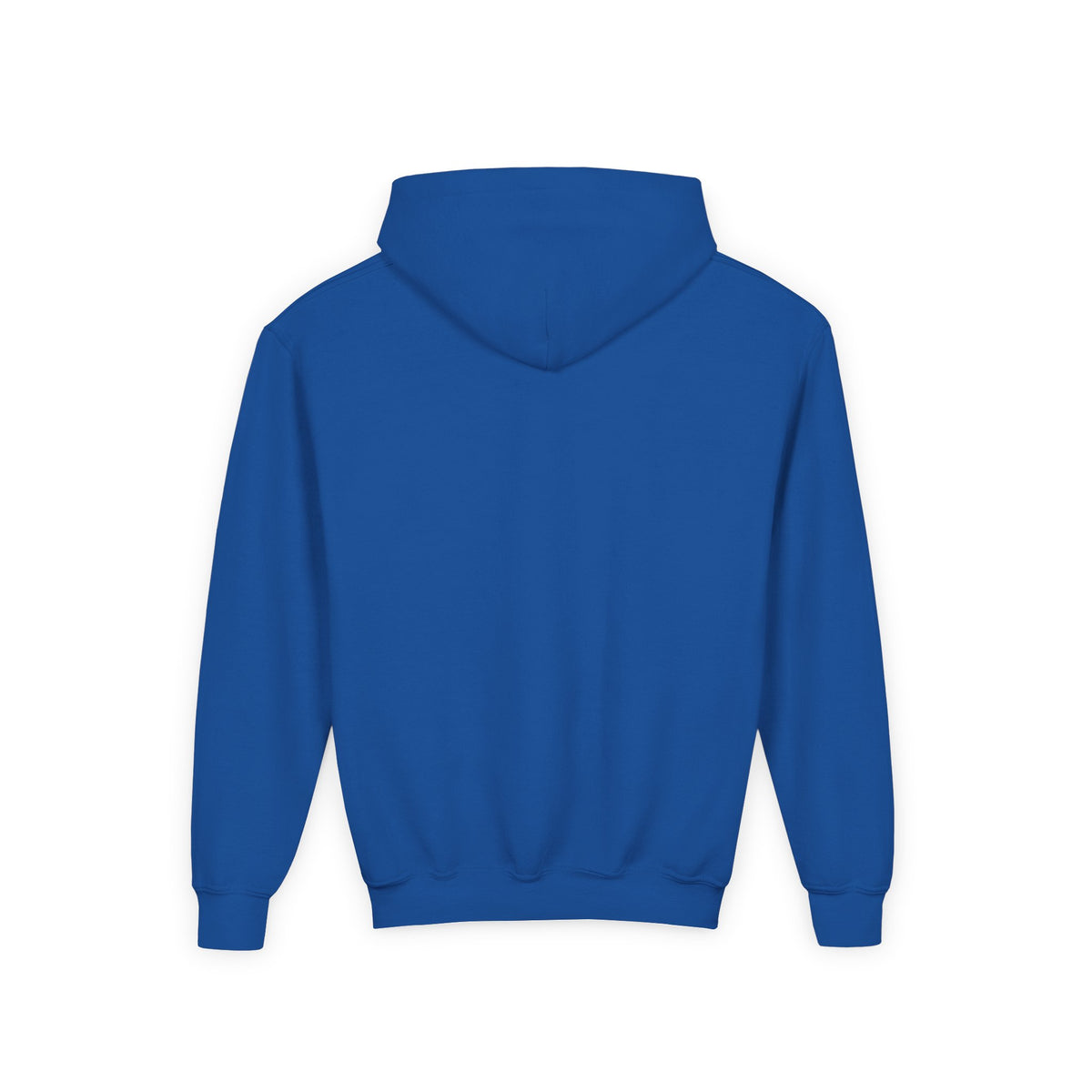Lion Spirit Paint Drips Youth Hoodie