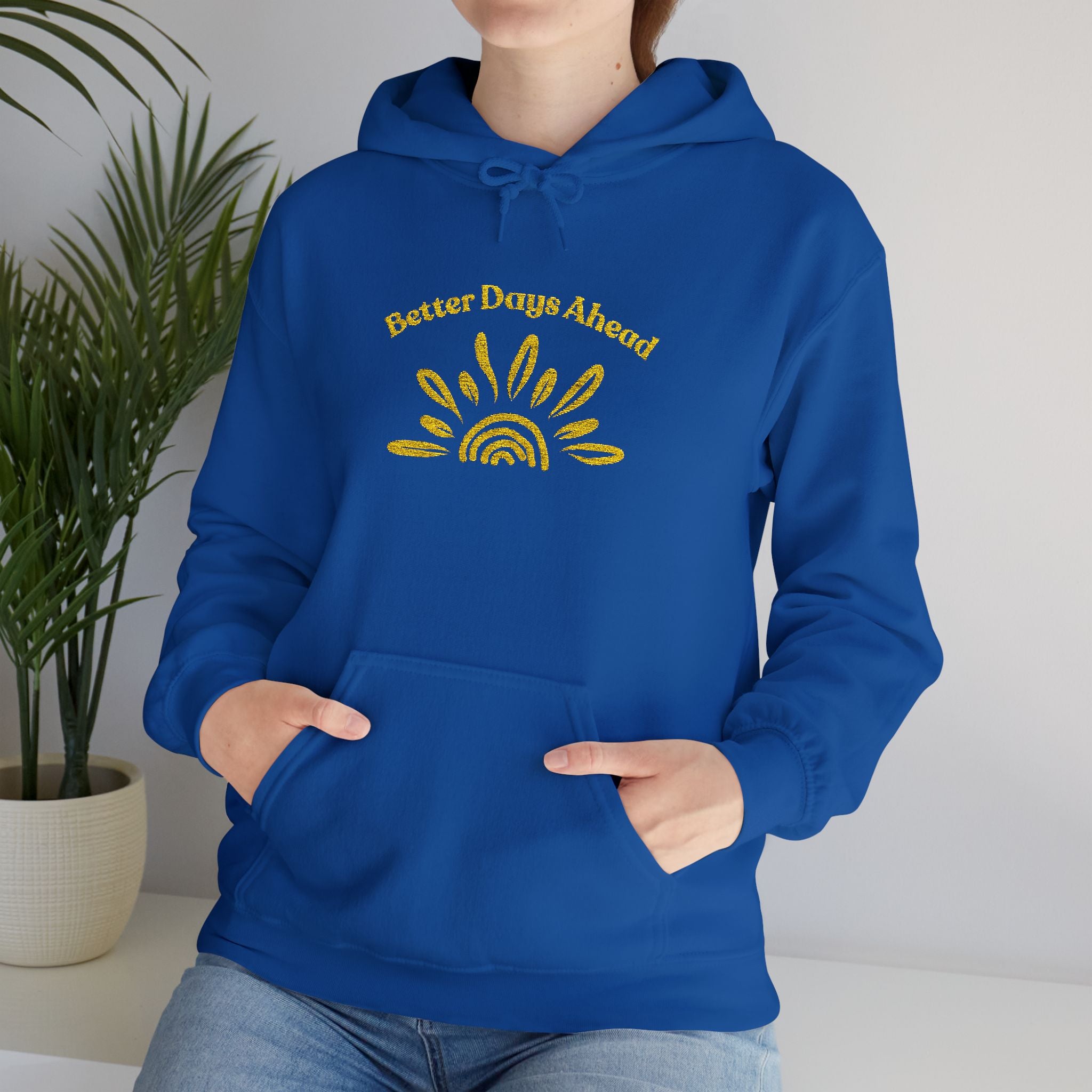 Hoodie | ‘Better Days Ahead’ Above a Sunrise  Embroidered Graphic