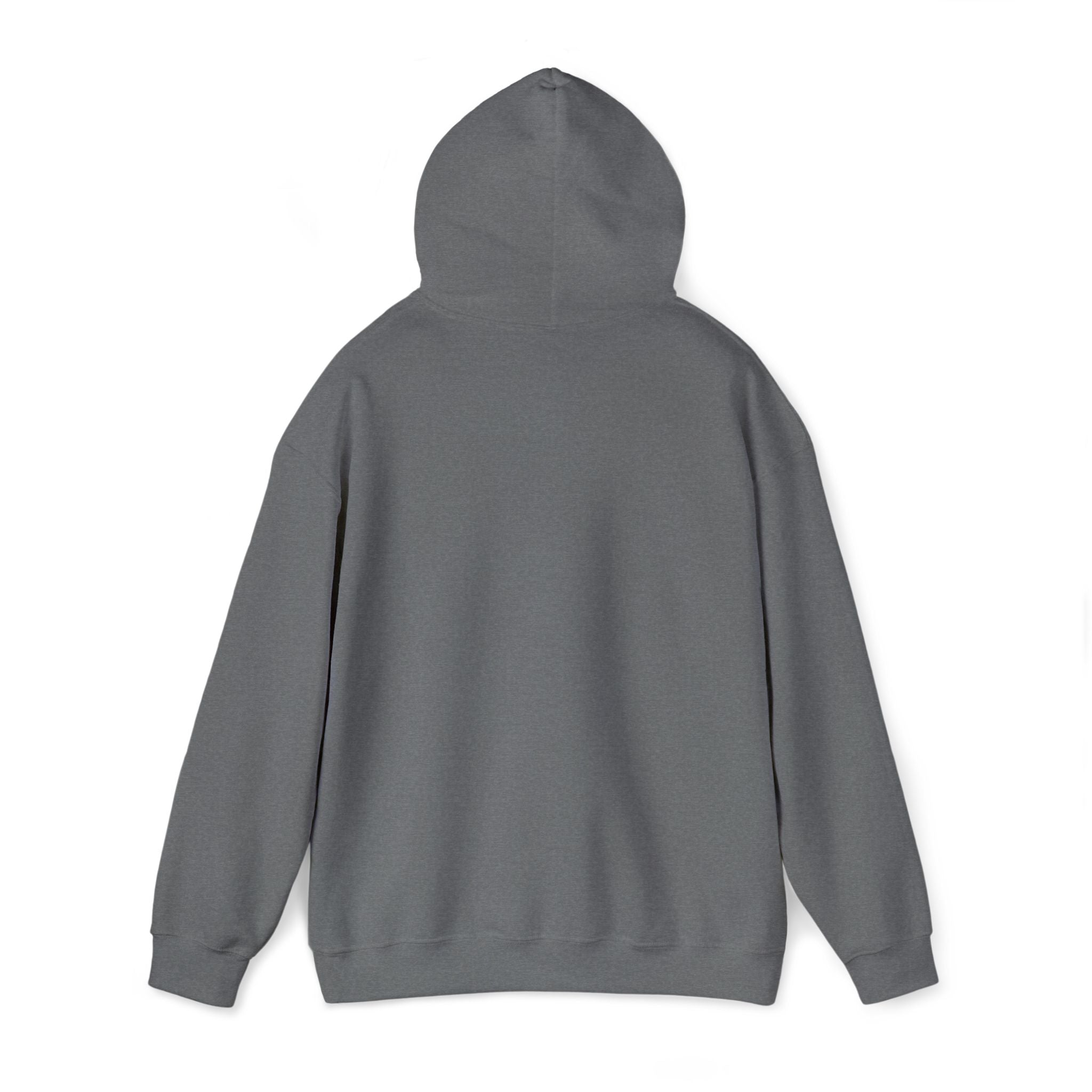 Hoodie | ‘Better Days Ahead’ Above a Sunrise  Embroidered Graphic